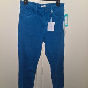Turquoise/Aqua Blue PISTOLA Stitch Fix Jeans